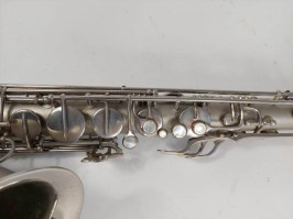 schenkelaars-195x-tenor-(1)-1646575471