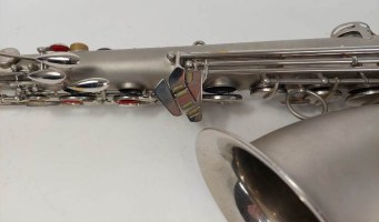 schenkelaars-195x-tenor-(7)-1646575471