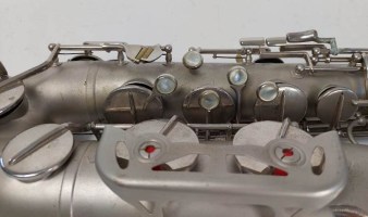 schenkelaars-195x-tenor-(8)-1646575471