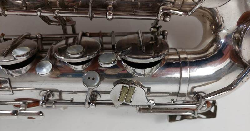 schenkelaars tenor 10000 2