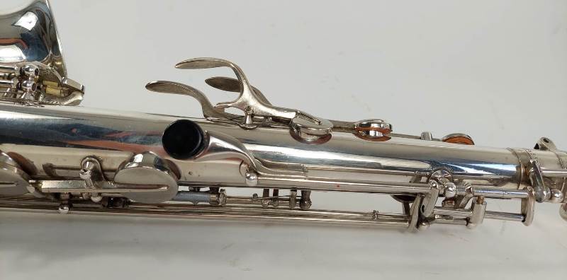 schenkelaars tenor 10000 2