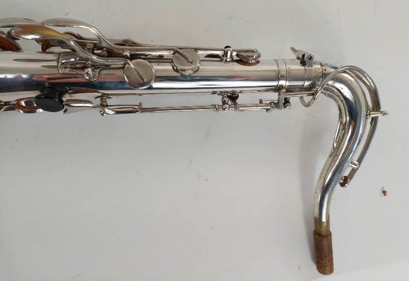 schenkelaars tenor 10000 2